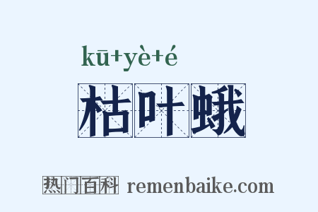 枯叶蛾是什么意思的图片